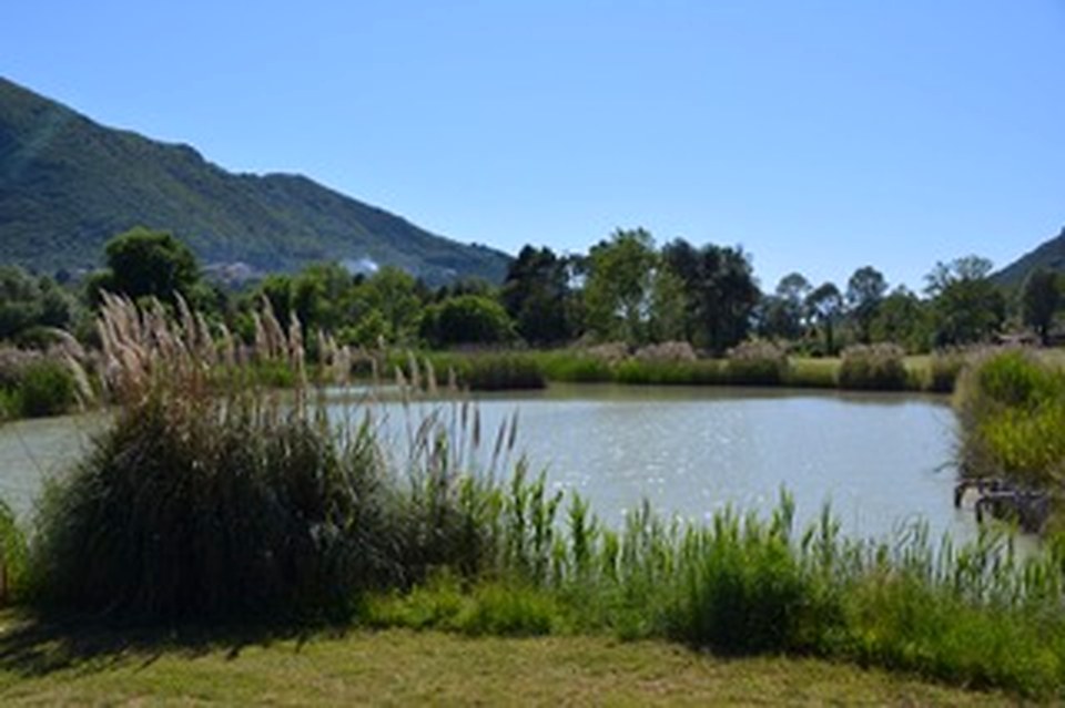 Lake on the course